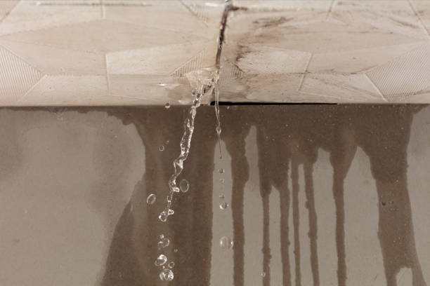 Professional Flood Damage Cleanup technician working in De Soto, KS